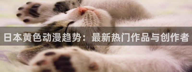 行业资讯